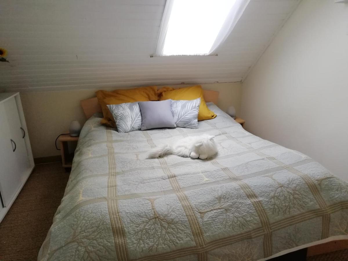 maison piscine privée proche de Rodez Cassagnes-Bégonhès Extérieur photo